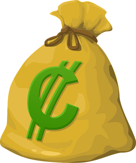 Financial Audit Reports