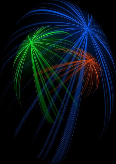 Financial Statements