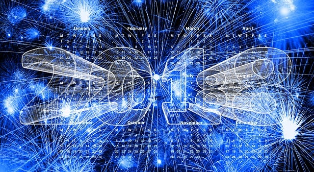 Financial Statements