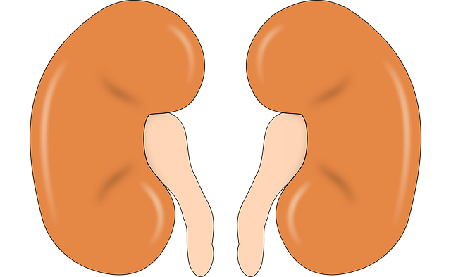 Human Resources Documents