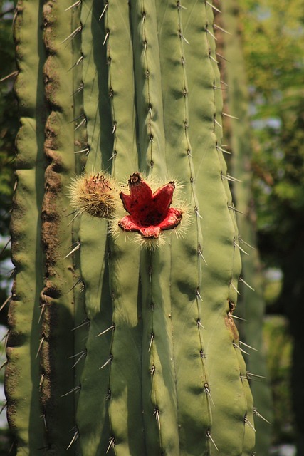 Human Resources Documents