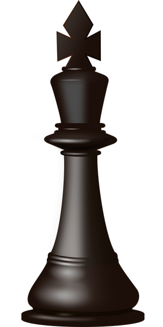 Intellectual Property Documents