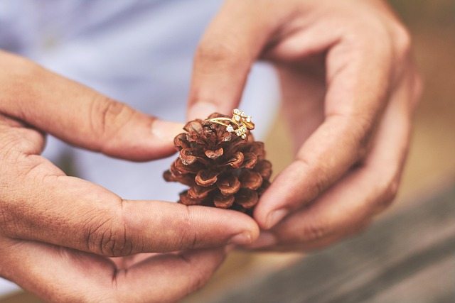 Sales Proposals and Presentations