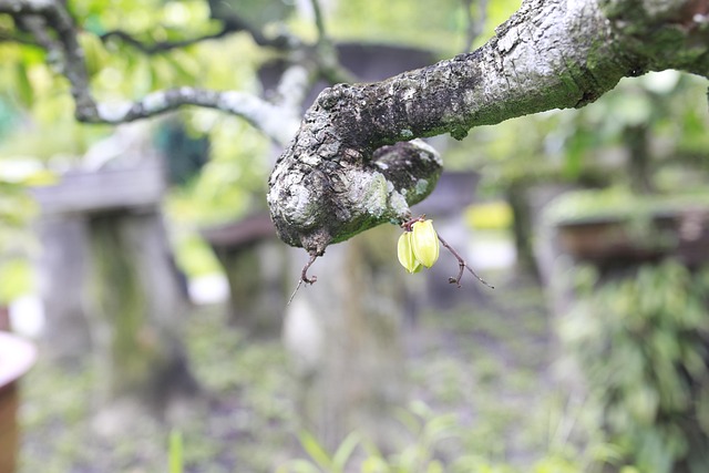 Supplier and Vendor Contracts