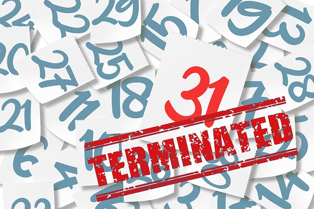 Supplier and Vendor Contracts