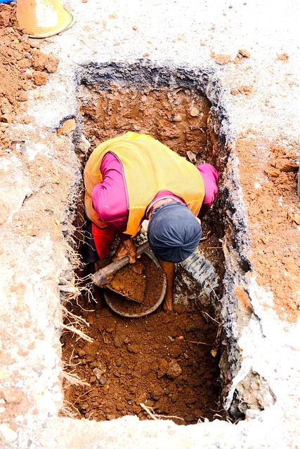 Training Manuals and E-learning Materials